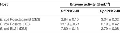 Synthesis of L-asparagine Catalyzed by a Novel Asparagine Synthase Coupled With an ATP Regeneration System